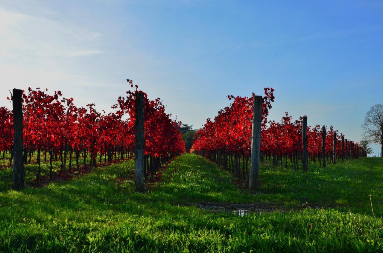 Alloggio Agrituristico Corte San Biagio Corno di Rosazzo Kültér fotó