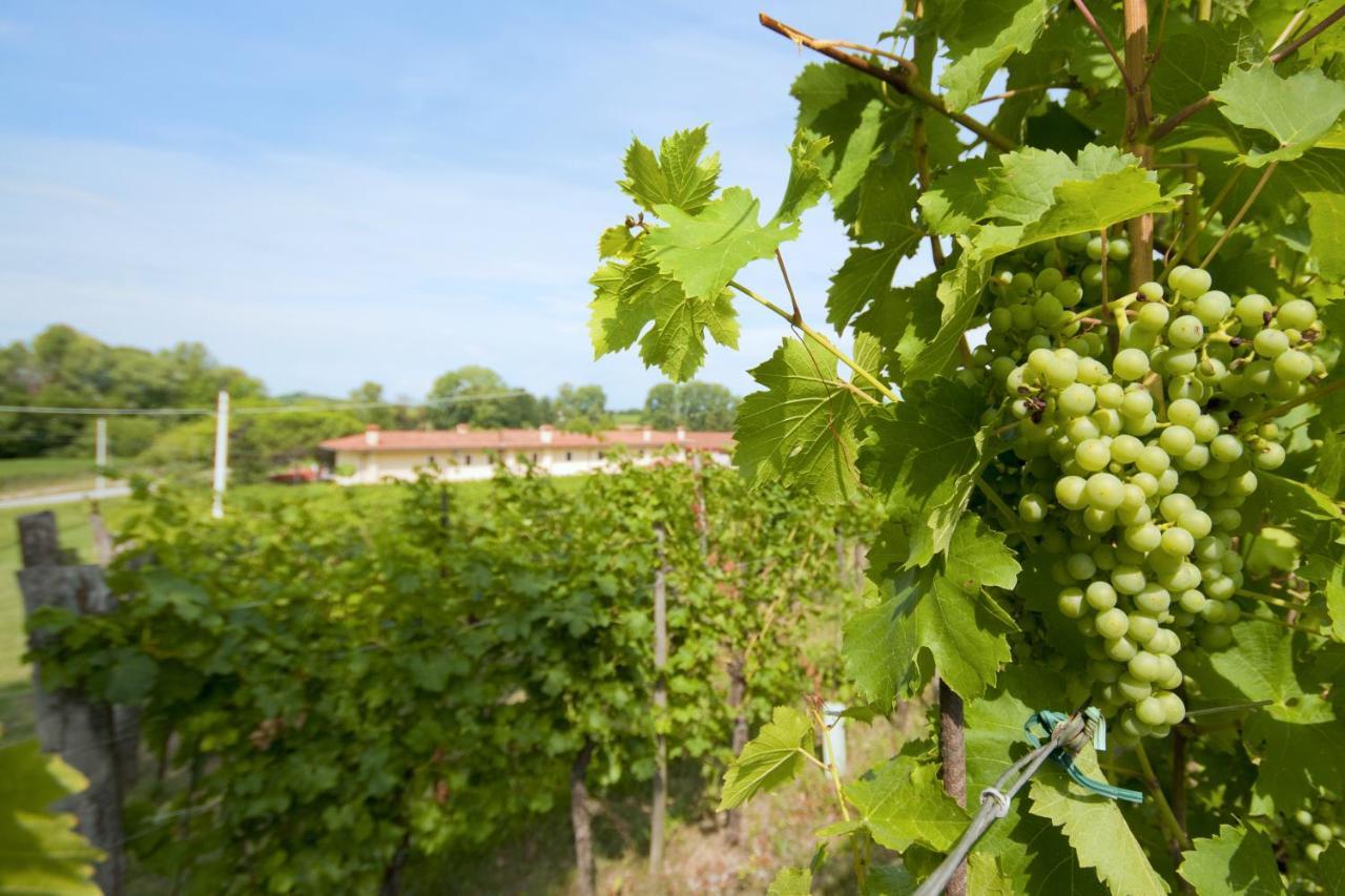 Alloggio Agrituristico Corte San Biagio Corno di Rosazzo Kültér fotó