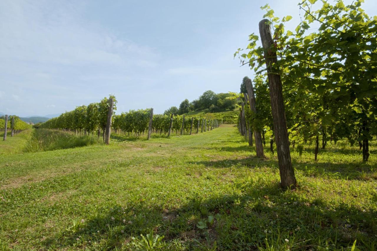 Alloggio Agrituristico Corte San Biagio Corno di Rosazzo Kültér fotó