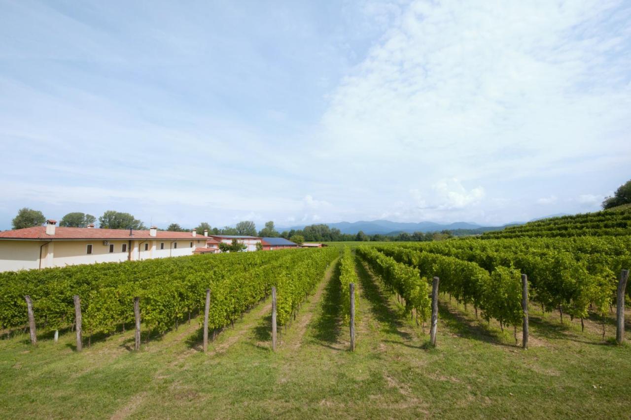 Alloggio Agrituristico Corte San Biagio Corno di Rosazzo Kültér fotó